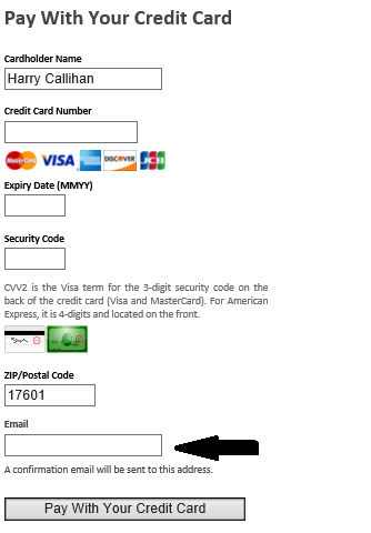 image of Payeezy Payment Page fields